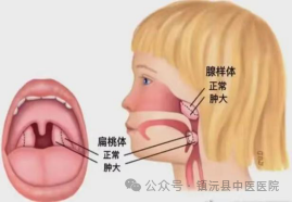 微信图片_20240925152155.png